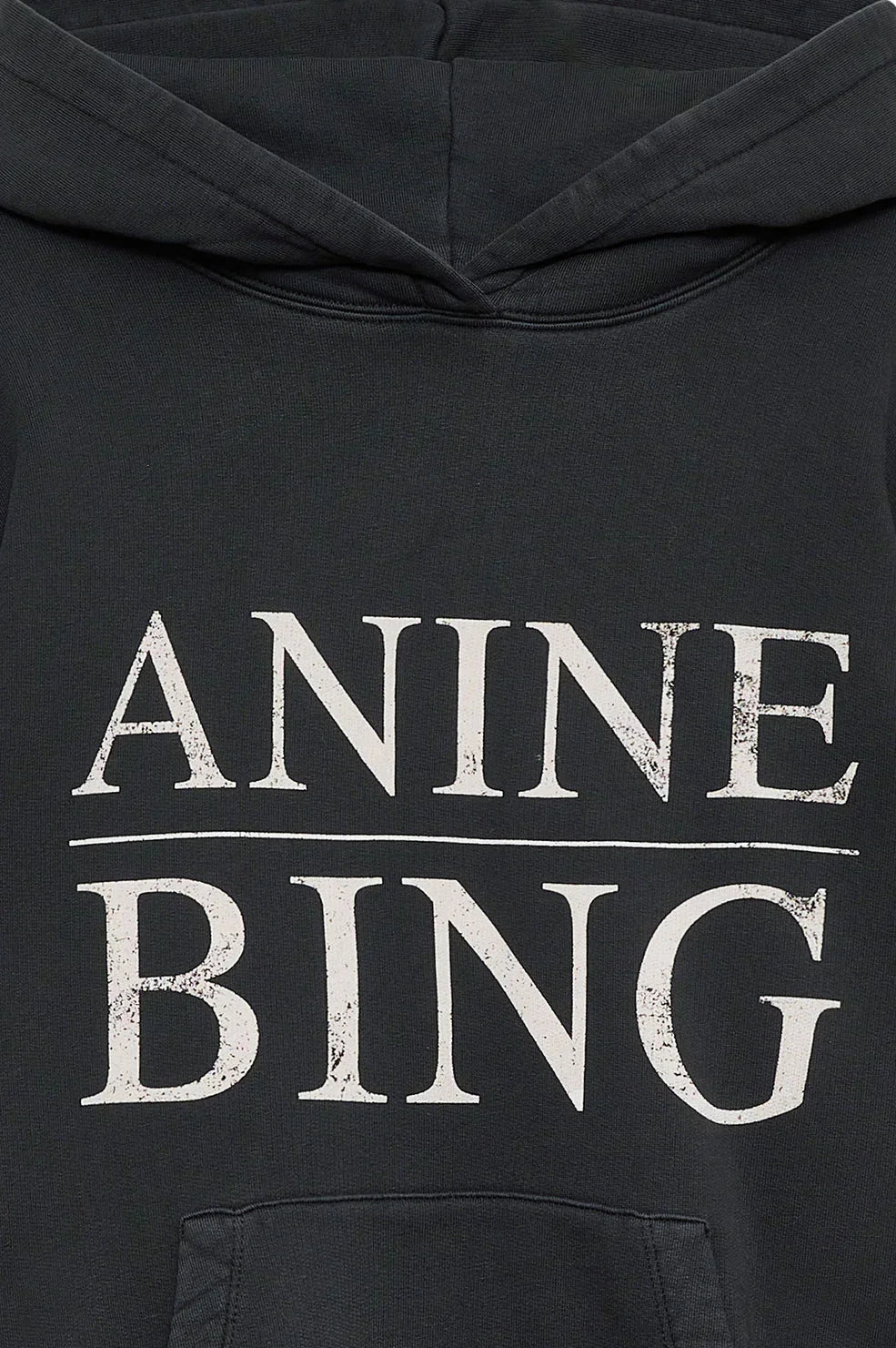 Anine Bing Hoodie Recreated Edition