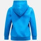 Recreation – Unisex Peak Performance Pullover Hoodie Recreated Edition